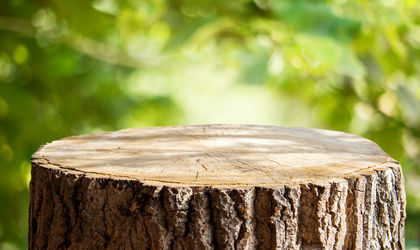 Inspiratie- Hout- zomer-trends- Knulst Houten Vloeren- Nunspeet- www.knulsthoutenvloeren.nl.jpg