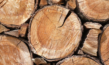 Wat kost een Houten Vloer Parketvloer - Knulst Houten Vloeren - Nunspeet - www.knulsthoutenvloeren.nl.jpg