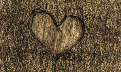 Inspiratie- Grenen Houten Vloer - Knulst Houten Vloeren - Nunspeet - www.knulsthoutenvloeren.nl.jpg