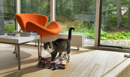 Inspiratie- houten vloer- huisdieren- Knulst Houten Vloeren- Nunspeet- www.knulsthoutenvloeren.nl.jpg