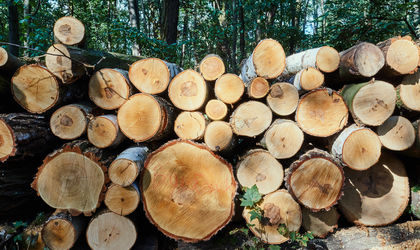 Inspiratie- Eiken- hout- Knulst Houten Vloeren- Nunspeet- www.knulsthoutenvloeren.nl.jpg