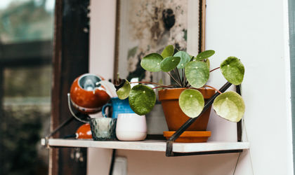 Inspiratie- eiken- hout- Knulst Houten Vloeren- Nunspeet- www.knulsthoutenvloeren.nl.jpg